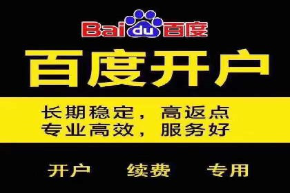 某电商平台的SEM推广策略分析